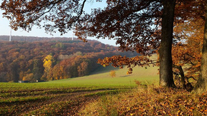 3. Kategorie „Landschaft“ Beth Horine